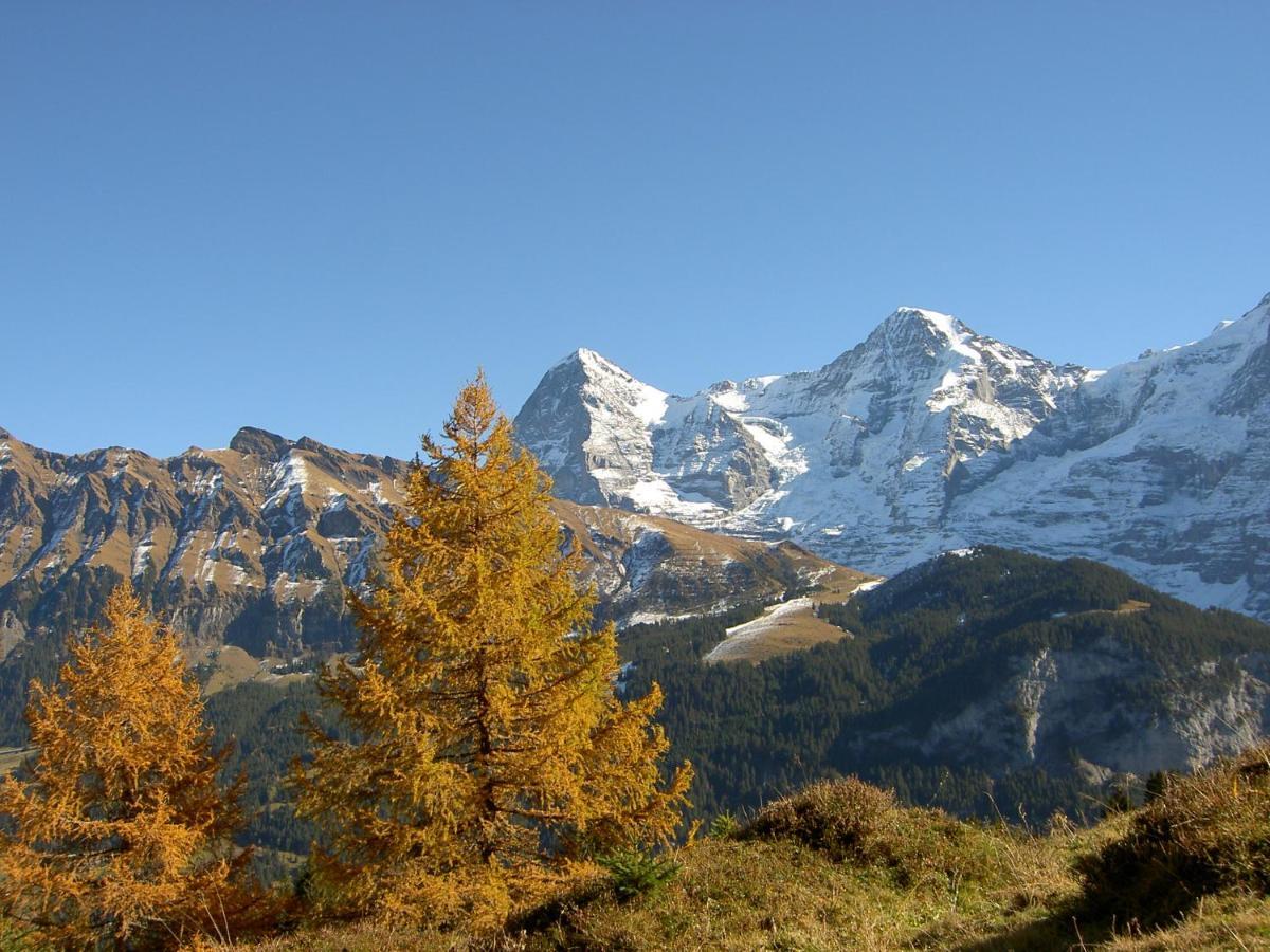 Valley Hostel Lauterbrunnen Εξωτερικό φωτογραφία